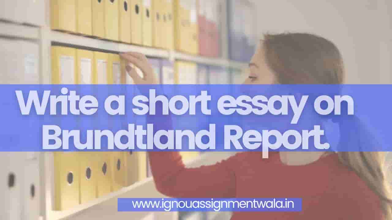 essay on brundtland report