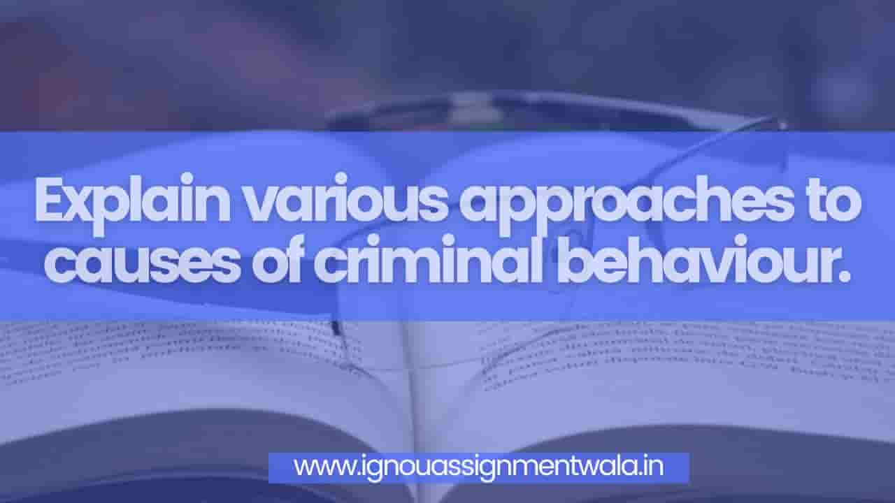You are currently viewing Explain various approaches to causes of criminal behaviour.