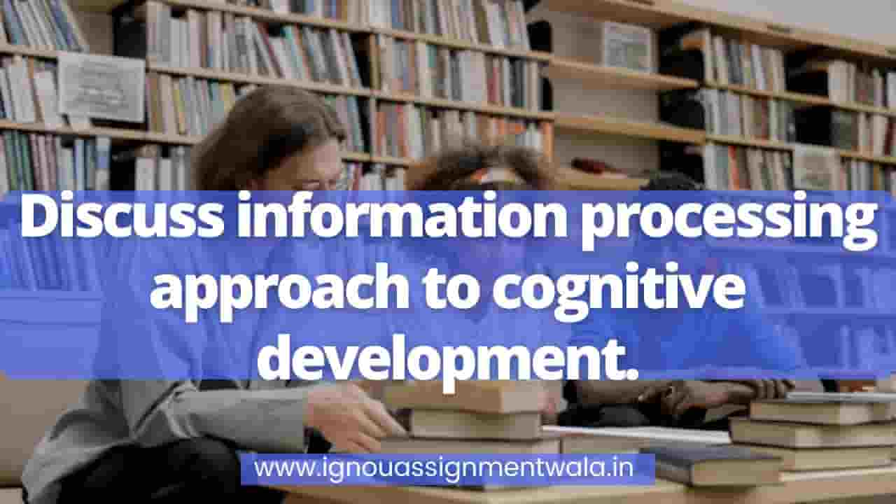 Read more about the article Discuss information processing approach to cognitive development.