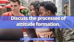 Read more about the article Discuss the processes of attitude formation.