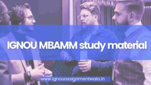 Read more about the article IGNOU MBAMM study material