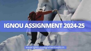 Read more about the article IGNOU ASSIGNMENT 2024-25