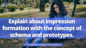 Read more about the article Explain about impression formation with the concept of schema and prototypes ?